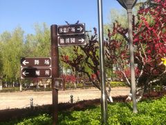 -康庄公园