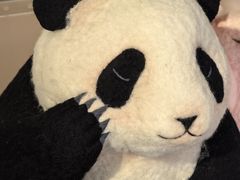 -辰熙ACX星海艺术中心