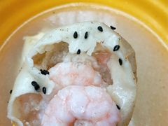 -小杨生煎(火车站北广场店)