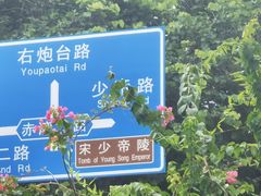 -宋少帝陵