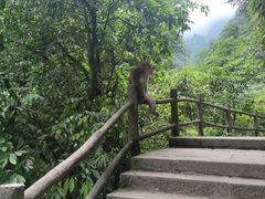 -峨眉山风景名胜区
