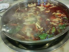 -蜀滋香鲜鱼美蛙火锅(339店)