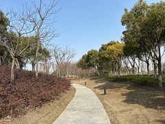 -春花秋色城市公园