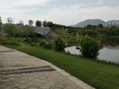 -飞来湖湿地公园