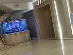 -碧中海汤泉汗蒸酒店