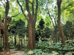 -苏州河梦清园环保主题公园