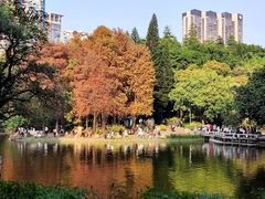 -广州珠江公园