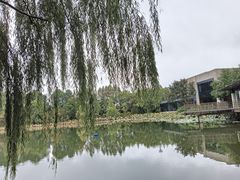 -上海怡沁园度假酒店