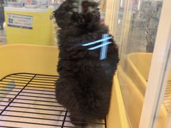 -百联川沙购物中心