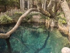 -蝴蝶泉公园
