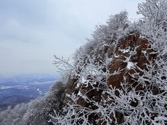 -紫金山山顶公园