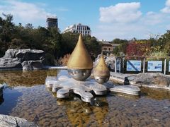 -上海吴淞炮台湾国家湿地公园
