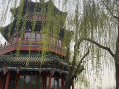 -后海公园
