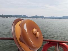 -西湖外事游船(花港观鱼码头)