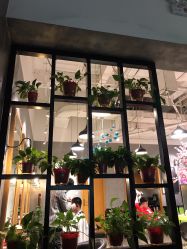 -时尚殿堂明星门店