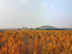 -汉景帝阳陵博物院