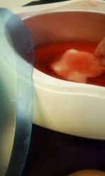 -美斯洛美甲美睫连锁店
