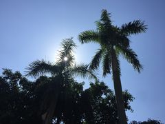 -佛山祈福仙湖酒店