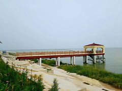 -合肥滨湖国家森林公园