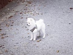 -雨花胜境