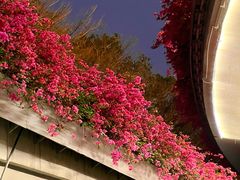 -荔香公园