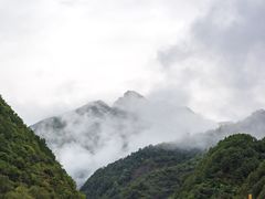 -牛背梁国家森林公园