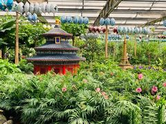 -南宫五洲植物乐园