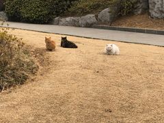 -HIB HUB公社(解放西路店)