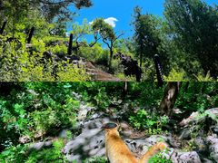 -北京十三陵国家森林公园蟒山景区