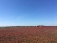 -红海滩国家风景廊道