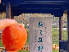 -如意山房柿子树下餐厅