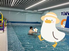 -小小王国亲子游泳俱乐部(锦辉中心)