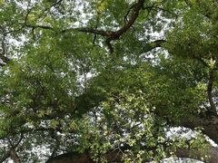 -共和国摇篮旅游区-红井景区