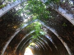 -天津东丽湖风景区