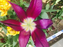 -长春公园(普阳街道)