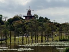 -东莞植物园