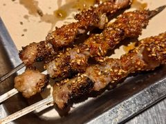 羊肉串-壹加壹电烤串(总店)
