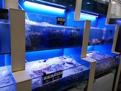 水产区-老虎滩大连海鲜烧烤(建邺云锦路总店)