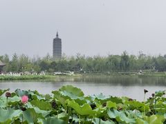 -西海子公园