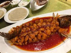 -金彤川菜(西稍门店)