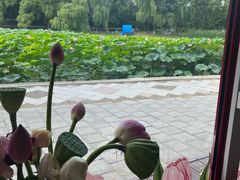 -北陵公园