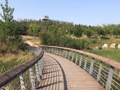 -马家湾湿地公园