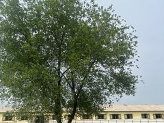 -北京群众马术培训基地