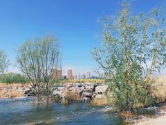 -永定河休闲森林公园