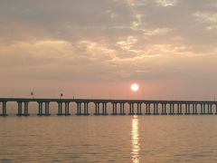 景点-宝安西湾红树林湿地公园