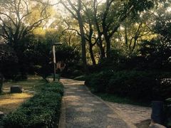 -雨湖公园