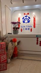 -三菩提科技美肤SPA