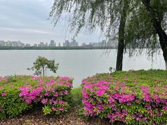 -艾溪湖湿地公园