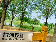 -东郊湿地公园