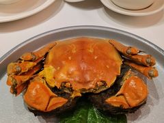 清蒸大闸蟹-香乐园·淮扬菜中餐厅·Shang Garden(福田香格里拉店)